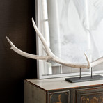 Large Elk Antler Centerpiece (Natural)