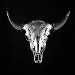 Bison Skull (Silver Gild)
