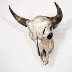 Bison Skull (Silver Gild)