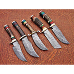 Bowie Knife // Set of 5 // BS-5