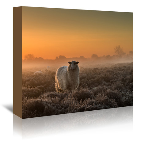 Sheep In The Mist (7"W x 5"H x 1"D)