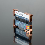 38 Standard Bank Card Holder
