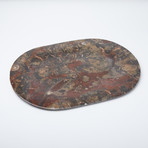 Oval Catchall Fossil Platter