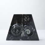 Ammonite Fossils // 2 Bookends