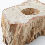 Petrified Wood Votive Candle Holder (Single)