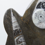 Ammonite + Orthoclase Fossils Rock Statue