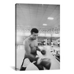 Blurred Motion View Of Muhammad Ali Sparring (18"W x 26"H x 0.75"D)