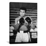 Muhammad Ali With A Fierce Glare While Training // Muhammad Ali Enterprises (26"H x 18"W x 0.75"D)
