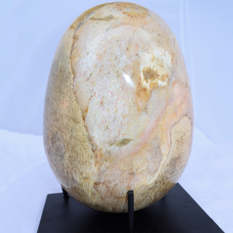 Petrified Wood Egg Sculpture + Stand