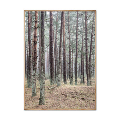 Pine Forest (11.7"W x 16.55"H)