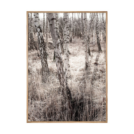 Birch Forest (11.7"W x 16.55"H)