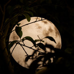 Luna I