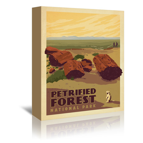 Petrified Forest National Park (5"W x 7"H x 1"D)