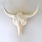 Full Bison Skull