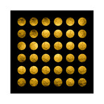Golden Spots Black (54"W x 54"H x 1.25"D)