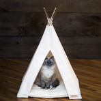 Pet Teepee // Gold (24"L x 24"W x 32"H)