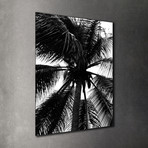 Barbados Palm // Acrylic (12"W x 18"H)