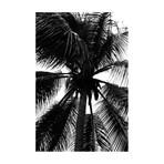 Barbados Palm // Aluminium (12"W x 18"H)