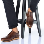 Dover Brogue Shoe // Coffee (Euro: 45)