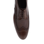 Dover Brogue Shoe // Coffee (Euro: 45)