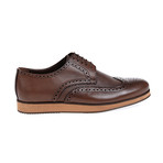 Dover Brogue Shoe // Coffee (Euro: 45)