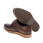 Dover Brogue Shoe // Coffee (Euro: 45)