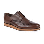 Dover Brogue Shoe // Coffee (Euro: 45)