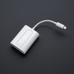 Pioneer Rayz Earphones + Rally Speaker Bundle