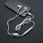 Pioneer Rayz Earphones + Rally Speaker Bundle