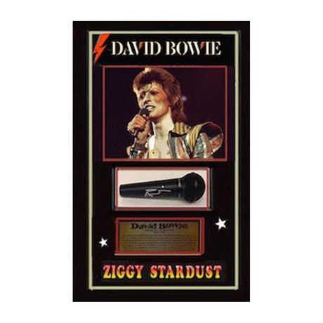 Framed Autographed Microphone Collage David Bowie