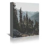 North Cascades National Forest, USA // Canvas Print (5"W x 7"H x 1.5"D)