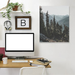 North Cascades National Forest, USA // Canvas Print (5"W x 7"H x 1.5"D)