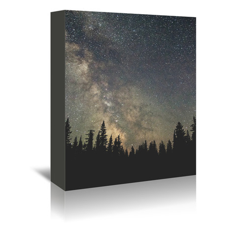 Starts Over The Forest II // Canvas Print (5"W x 7"H x 1.5"D)