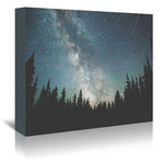 Starts Over The Forest III // Canvas Print (5"W x 7"H x 1.5"D)