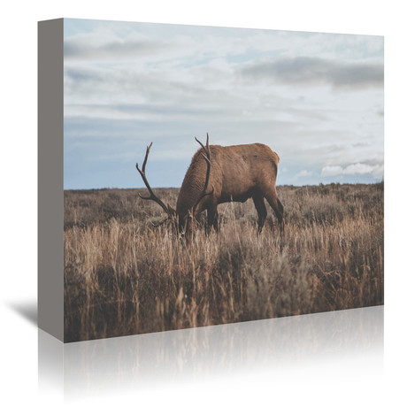 Wyoming, USA // Canvas Print (5"W x 7"H x 1.5"D)
