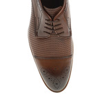 Embossed + Dotted Derby // Tobacco (Euro: 44)