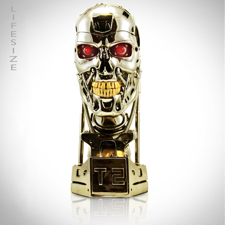 Terminator T-800 // Endo Skull Head