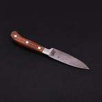 Damascus Paring Knife // 9109