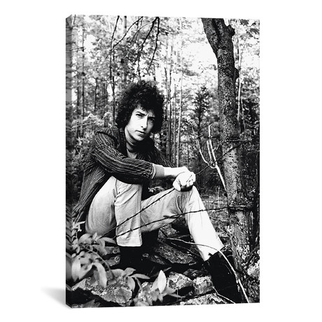 Bob Dylan In A Forest // Frank Dandridge