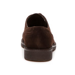 Cos Full Brogue Shoe // Testa Di Moro (Euro: 39)