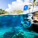 Seaview 180° Full Face Snorkel Mask // Electric // F (S/M)