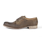 Pozzuoli Printed Classic Derby // Brown (Euro: 39)