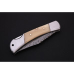 Pocket + Folding Lock Back Knife // FK2316