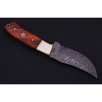 Hunting Skinner Knife // HK0151