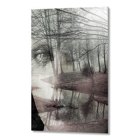 Forest River // Aluminum Print