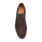 Benhill Oxford Leather Shoe // Brown (Euro: 40)