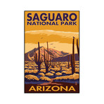 Saguaro National Park, Arizona (9"W x 13.5"H)