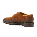 Suede Lace Up Wingtip // Velour Whisky (Euro: 40)