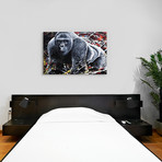 Harambe // Piero Manrique