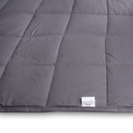 Weighted Blanket + 3 Covers (15lbs)
